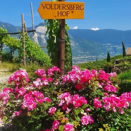 Voldersberghof Apartment Cortaccia Bagian luar foto
