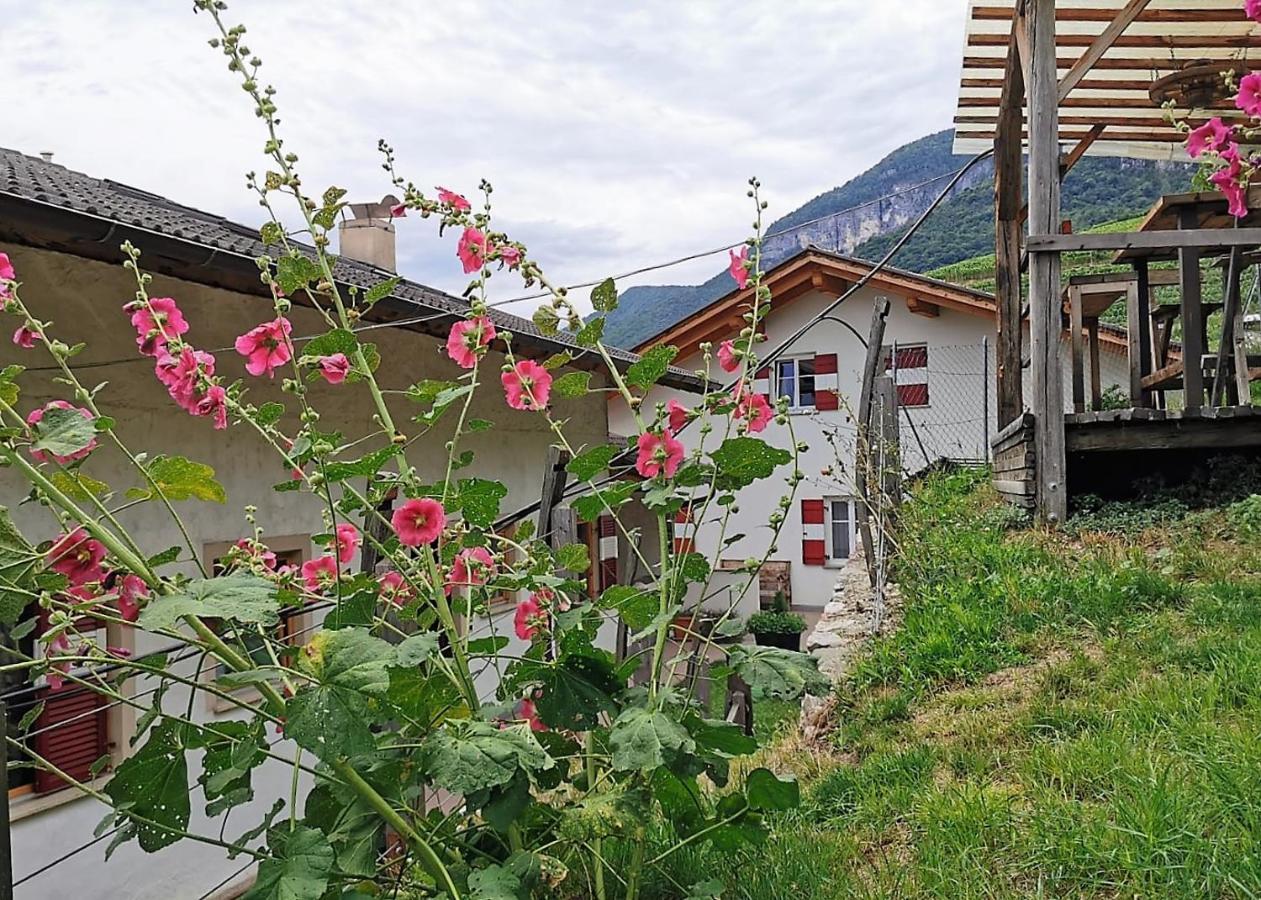 Voldersberghof Apartment Cortaccia Bagian luar foto