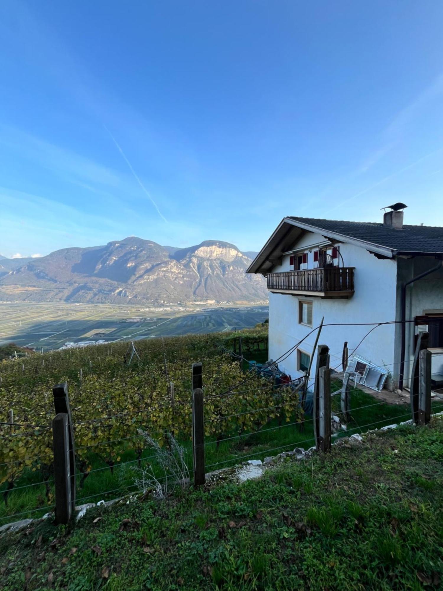 Voldersberghof Apartment Cortaccia Bagian luar foto