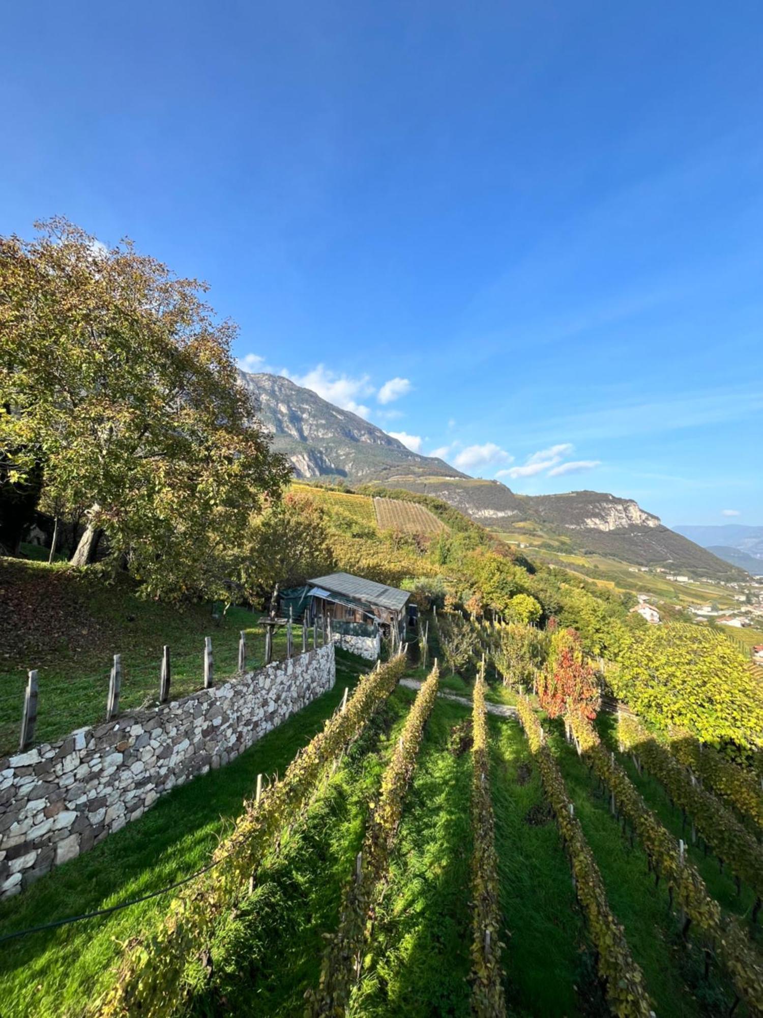 Voldersberghof Apartment Cortaccia Bagian luar foto