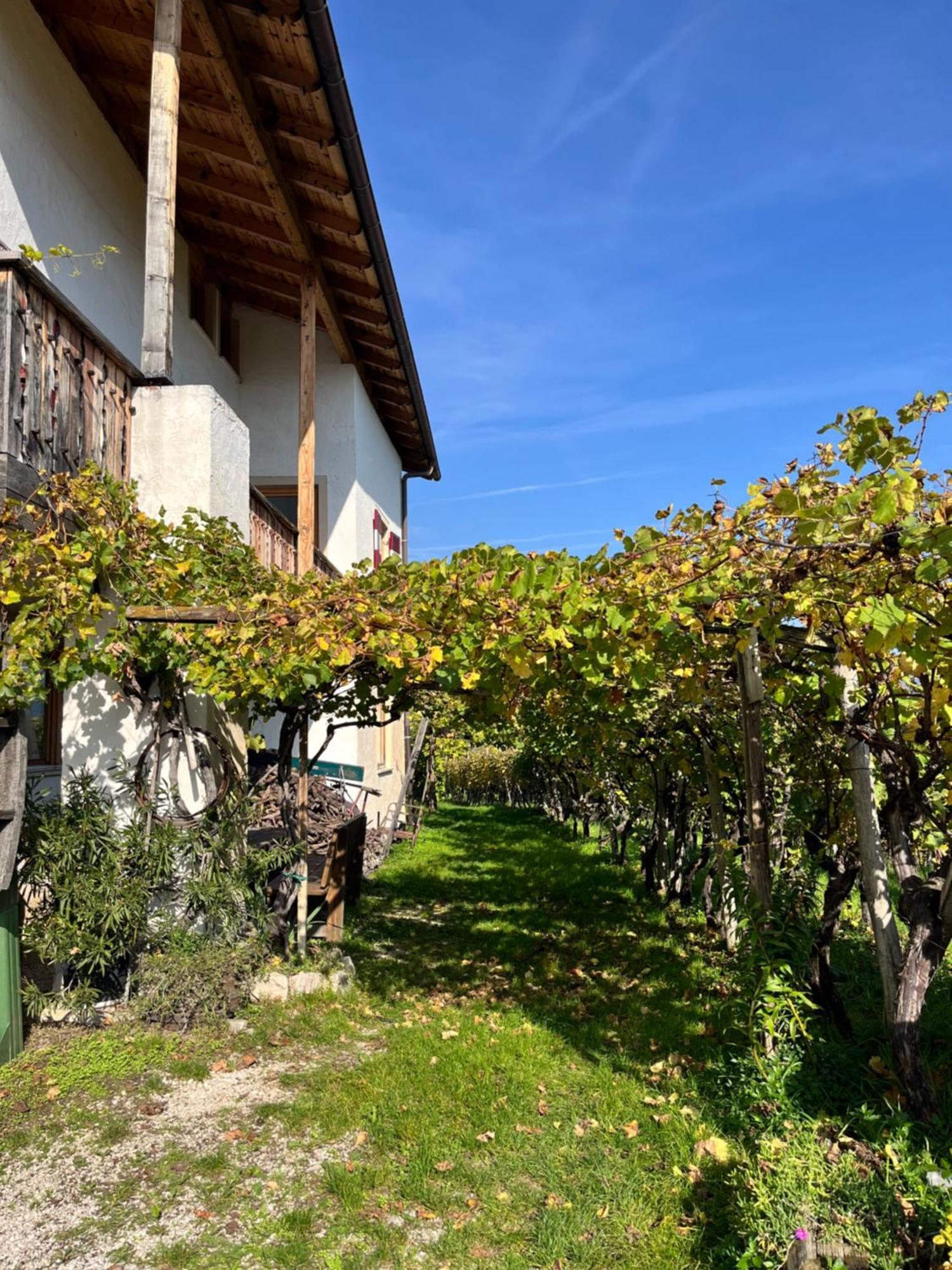 Voldersberghof Apartment Cortaccia Bagian luar foto